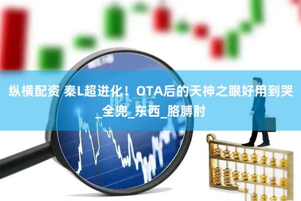 纵横配资 秦L超进化！OTA后的天神之眼好用到哭_全兜_东西_胳膊肘